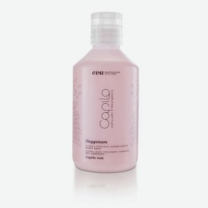 EVA PROFESSIONAL HAIR CARE Шампунь для волос против перхоти Capilo Oxygenum Shampoo N.06, 300 мл