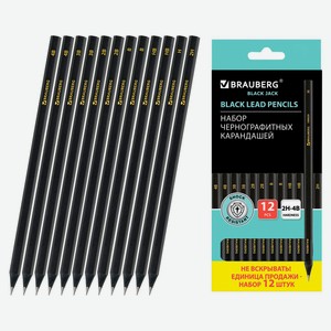 Набор карандашей чернографитовых BRAUBERG Black Jack 2Н-4В, 12 шт