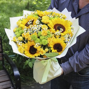 FLORPRO Солнечный зайчик Grand, 1 шт.