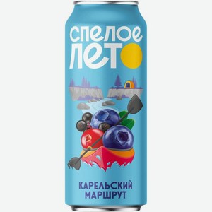 Напиток газированный Спелое Лето Карельский со вкусом черники-брусники и бузины, 450мл