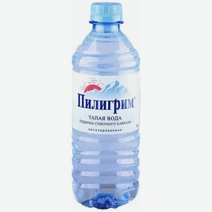 Вода Пилигрим питьевая, 250мл, 250 мл