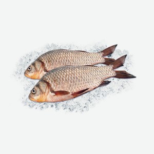 Карась с/г непотр охл кг