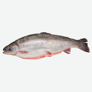Форель Радужная охлажденная потрошеная с головой, ~ 1 кг цена за 1 кг
