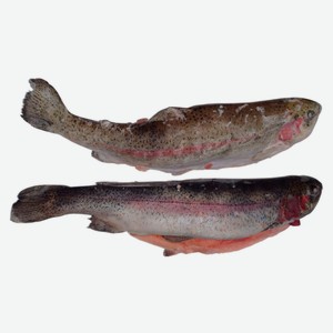 Форель горная замороженная потрошеная с головой, ~ 1,2 кг цена за 1 кг