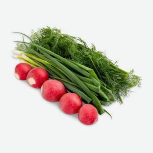 Набор зелени для окрошки лук зеленый укроп редис 200г 200 г