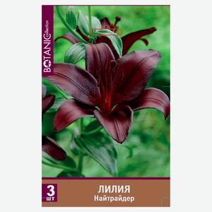 Лилия азиатская Botanic Collection Найтрайдер, 3 шт