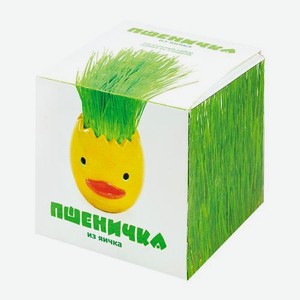 Набор для творчества Тодико Пшеничка из яичка hk14966 в ассортименте 110 г