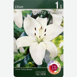 Луковица ЧТМ fantasy brands Лилия Притти Вуман 16/18 79, Германия