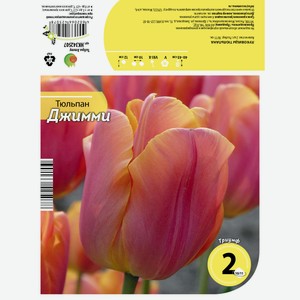 Луковицы Тюльпана Джимми 10/11 2шт