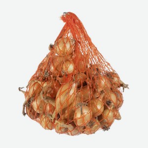 Лук-севок озимый  Штуттгартер ризен , 250 г