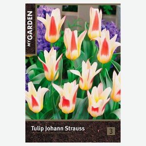 Луковицы «Флора групп» Тюльпан гибрид желтый микс, 3 шт