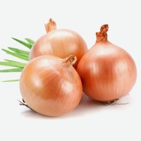 Лук Весовой Репч, Кг