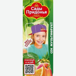 Сок Сады Придонья, Мультифрукт, Яблоко/виноград, Яблоко/вишня, Яблоко/персик, 200 Мл