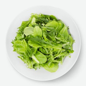 Салатный микс Айсберг Романо Рукола 75г