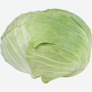 Капуста белокочанная (Цена за 1 кг)