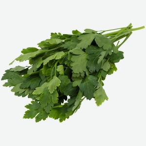 Петрушка Лето свежая в упаковке в ассортименте 100г