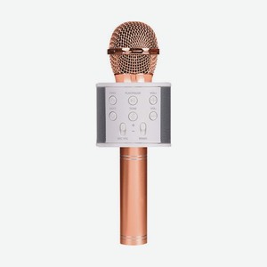 Микрофон с колонкой, портативный аккумуляторный, в ассортименте