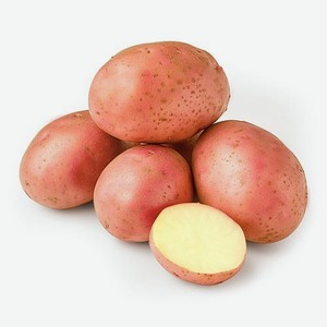 Картофель красный отборный М Свежесть