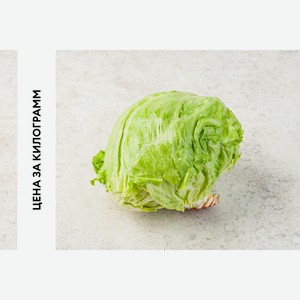 Салат Айсберг весовой