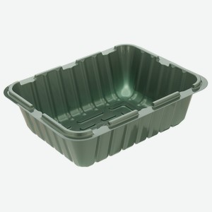 Мини-парник с крышкой, 210х160х65 мм, для 1 кассеты, полистирол// Россия