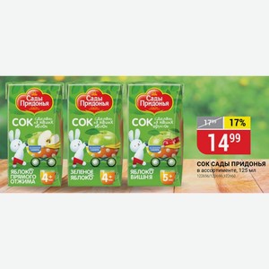 СОК САДЫ ПРИДОНЬЯ в ассортименте, 125 мл