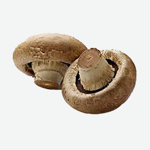 Грибы мини вешенки и королевские шампиньоны 150г упак