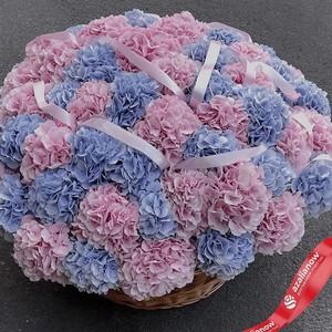 AZALIANOW ЦВЕТЫ. ПОДАРКИ. ДЕКОР Букет из 51 гортензии «Роскошная корзина гортензий», Букеты и композиции из живых цветов могут на несколько тонов отличаться от изображений. Часть цвета искажается в зависимости от настроек экрана.