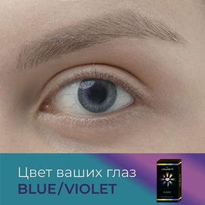 OKVISION Цветные контактные линзы OKVision Fusion color Blue/Violet на 3 месяца, -5.50 / 14.0 / 8.6 / Blue Violet / 2 шт.