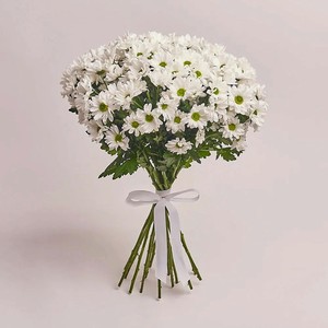 AZALIANOW ЦВЕТЫ. ПОДАРКИ. ДЕКОР Букет из 15 кустовых белых хризантем ромашек без упаковки, Букеты и композиции из живых цветов могут на несколько тонов отличаться от изображений. Часть цвета искажается в зависимости от настроек экран