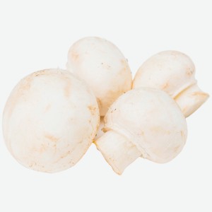 Грибы Шампиньоны мини, 300 г