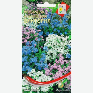 Незабудка Виктория