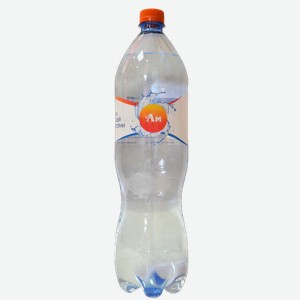 Вода АМ Газированная Природная Высшей категории 1.5л