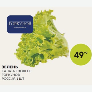 Зелень Салата Свежего Горкунов Шт