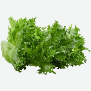 Салат-латук Джаз в горшочке 1шт, 70 г