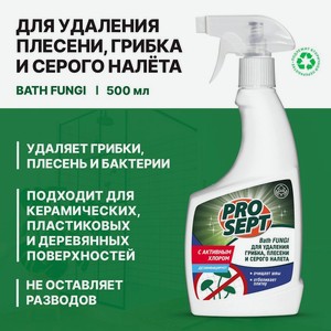 Моющее средство для удаления плесени, PROSEPT, 500 мл