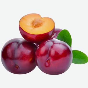 Слива круглая