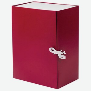 Короб архивный А4 2 завязки бумвинил до 1400л