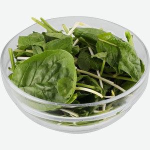 Смесь салатная БЕЛАЯ ДАЧА BOTANICUM Шпинат и ростки золотого гороха, 75г