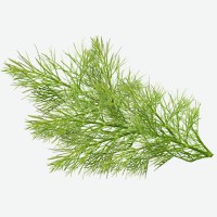 Укроп 200гр Кварда