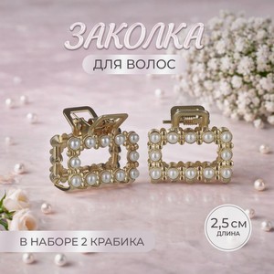 Заколка для волос, INSTYLE, 2 шт.