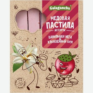 Пастила Galagancha Ванильная Нега и Клюквенный Бум медовая ассорти, 190г