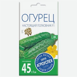 Семена Агроуспех Огурец Настоящий полковник F1, 8шт., 1 г