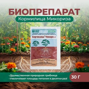Биопрепарат  Кормилица Микориза , БашИнком, 30 г