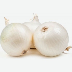 Лук белый весовой