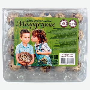 Яйца перепелиные «Молодецкие», 20 шт