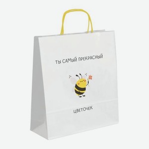 Подарочный пакет Bestie 20*24*10см в ассортименте