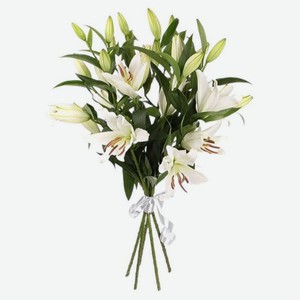 Букет живых срезанных цветов Лилия ароматная из 3 лилий в ассортименте h 40 см, 1 шт