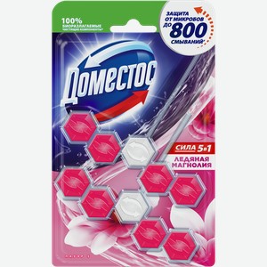 Блок для унитаза ДОМЕСТОС Power 5 Duo Ледяная магнолия, 2х55г