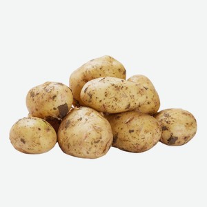 Картофель молодой Россия кг