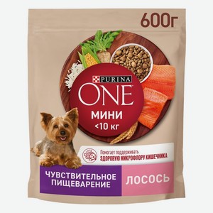 Корм сухой Purina ONE с лососем и рисом для взрослых собак мелких и карликовых пород, при чувствительном пищеварении, 600г, 600 г